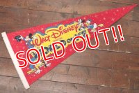ct-190605-71 Walt Disney's / World on Ice 1970's Pennant