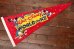 画像1: ct-190605-71 Walt Disney's / World on Ice 1970's Pennant (1)