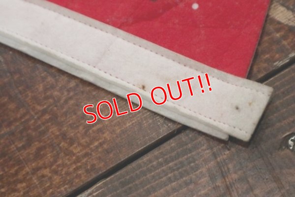 画像7: ct-190605-71 Walt Disney's / World on Ice 1970's Pennant