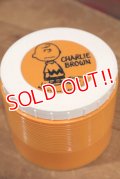 ct-190801-03 Charlie Brown / Thermos 1970's Plastic Jar