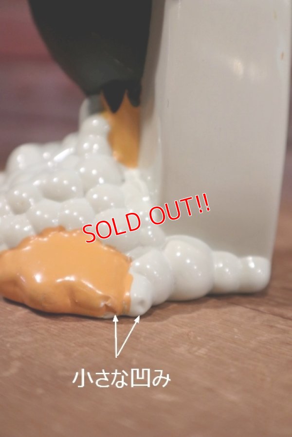 画像5: ct-190905-96 Daffy Duck / 1990's Bubble Bath Bottle