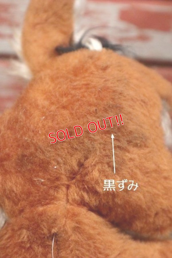 画像6: ct-190905-27 Wile E. Coyote / Mighty Star 1970's Plush Doll