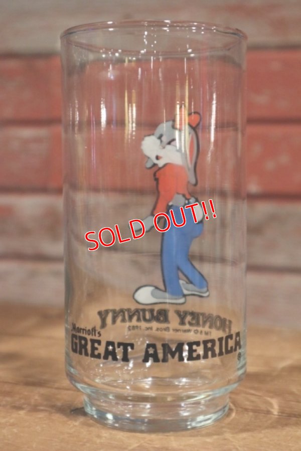 画像4: ct-190910-68 Honey Bunny / GREAT AMERICA 1982 Glass