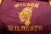 画像2: dp-190901-30 WILSON WILDCATS / 1970's-1980's Bag (2)