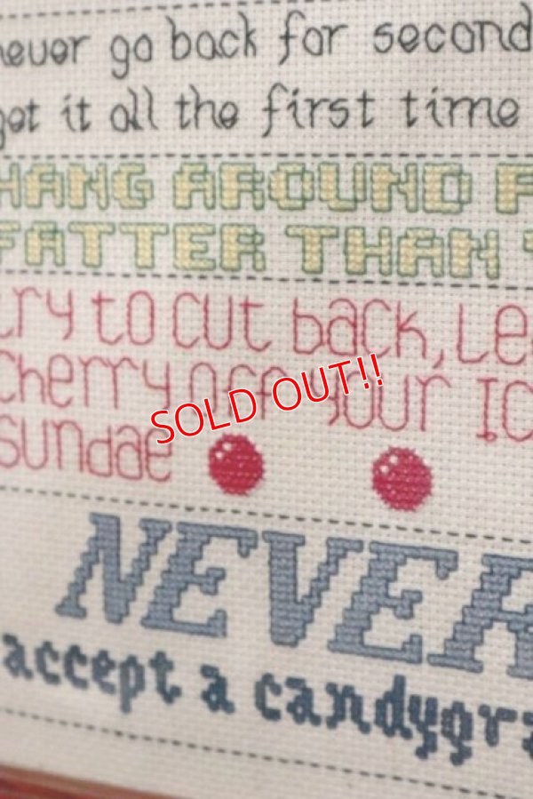 画像5: ct-190905-88 Garfield / 1980's Cross-stitch Wall Deco