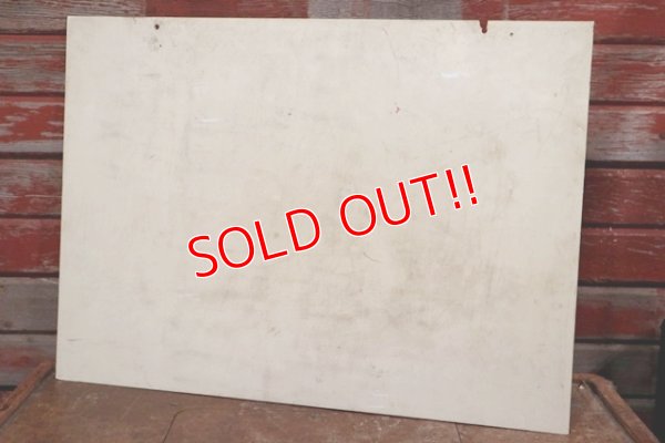 画像9: dp-190901-31 Carnation / Vintage Plastic Sign