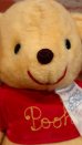 画像2: ct-190905-71 Winnie the Pooh / Grad Nite 1982 Plush Doll (2)