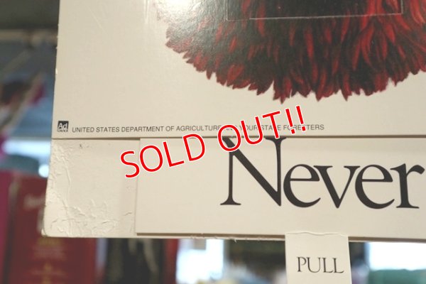 画像5: ct-190910-91 Smokey Bear / 1990's Poster