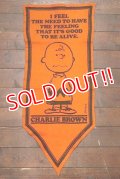 ct-191001-29 PEANUTS / 1960's Banner "Charlie Brown" Orange