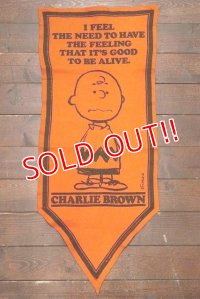 ct-191001-29 PEANUTS / 1960's Banner "Charlie Brown" Orange