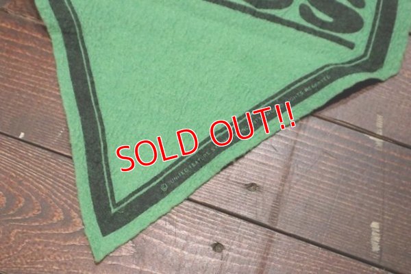 画像6: ct-191001-30 PEANUTS / 1960's Banner "Linus" Green