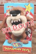 ct-191101-09 Tasmanian Devil / TYCO 1990's Plush Doll