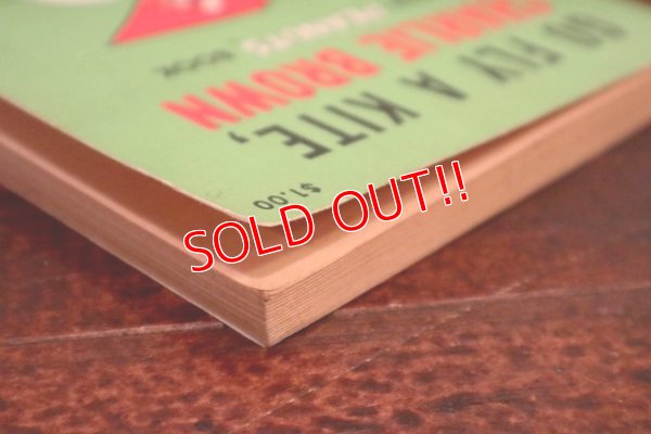 画像6: ct-191001-110 PEANUTS / 1960's Comic "Go Fly a Kite,Charlie Brown"