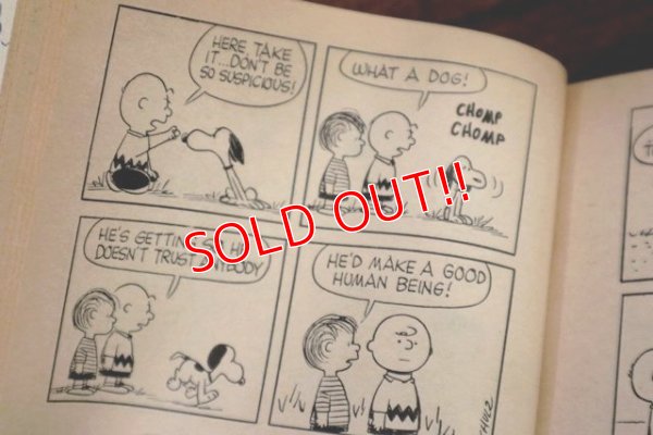 画像3: ct-191001-110 PEANUTS / 1960's Comic "Go Fly a Kite,Charlie Brown"