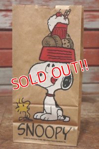 ct-191211-31 Snoopy / 1980's Paper Lunch Bags