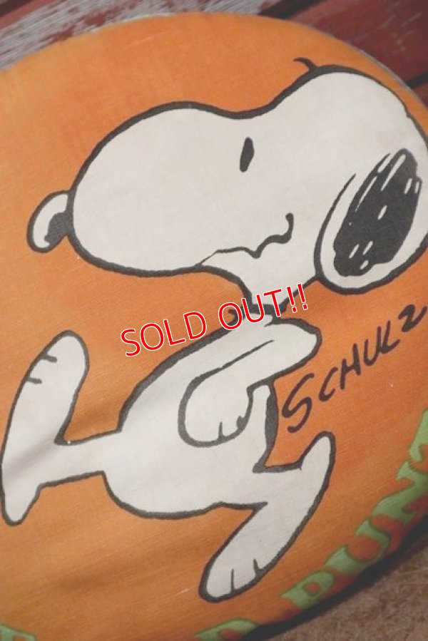 画像2: ct-200101-49 Snoopy / 1960's-1970's Cushion