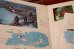 画像4: ct-191211-67 Peter Pan / 1960's Record and Book