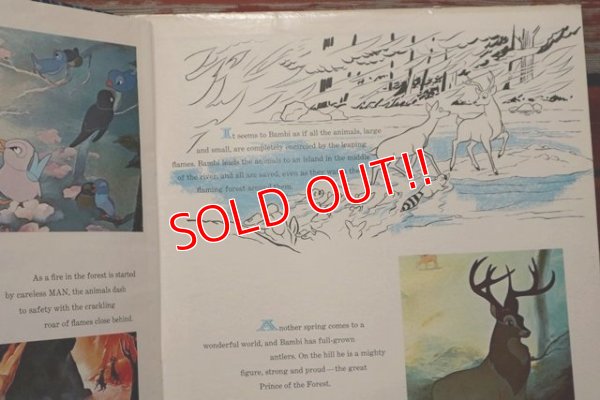 画像6: ct-191211-65 Bambi / 1960's Record and Book