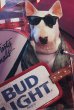 画像3: ct-200201-21 BUD LIGHT / Spuds Mackenzie 1987 Poster