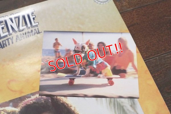 画像3: ct-200201-18 BUD LIGHT / Spuds Mackenzie 1980's Poster