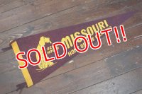ct-200201-17 MISSOURI HOME OF THE OZARKS / Vintage Pennant
