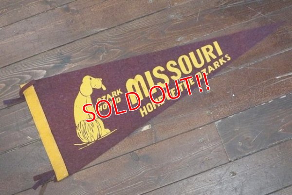 画像1: ct-200201-17 MISSOURI HOME OF THE OZARKS / Vintage Pennant