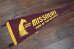 画像1: ct-200201-17 MISSOURI HOME OF THE OZARKS / Vintage Pennant (1)