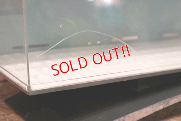 画像6: dp-200201-13 TIMEX / Ladies Electric 1970's  Display Case