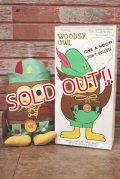 ct-200201-22 Woodsy Owl / Amway 1970's Teach 'N' Play Pre-School Toy