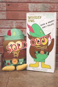 ct-200201-22 Woodsy Owl / Amway 1970's Teach 'N' Play Pre-School Toy