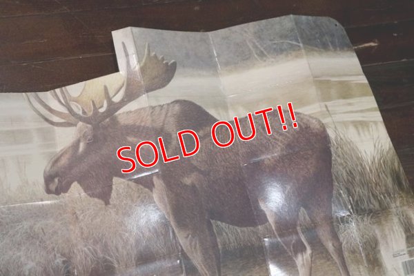 画像3: dp-200301-22 RED WING / 1990's Car Sun Shade