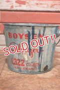 dp-200301-28 BOYSEN Colorizer Paint / Vintage Bucket