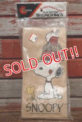 ct-191211-31 Snoopy / 1980's Paper Lunch Bags