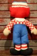 画像4: ct-200501-07 Raggedy Ann & Andy / 1970's Pillow Doll