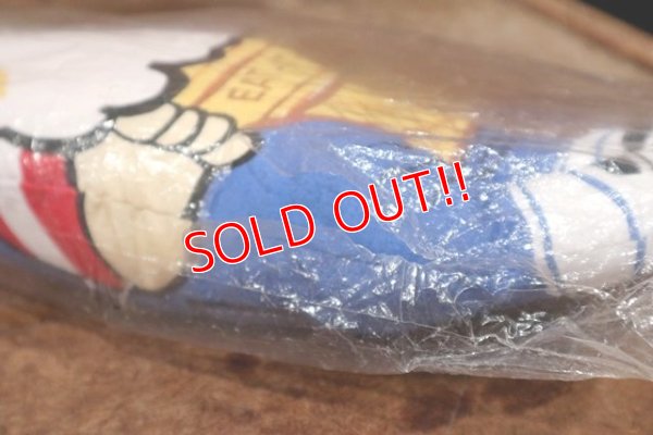 画像7: ct-160106-06 EAT-IT-ALL / "Fresh" 1970's Pillow doll