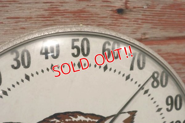 画像4: ct-200601-41 Vintage Owl Thermometer