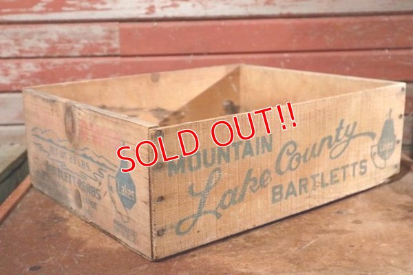 画像1: dp-200701-59 Mountain Lake Country Bartlett / Vintage Wood Box