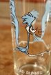 画像2: gs-201001-04 Road Runner / PEPSI 1973 Collector Series Glass (2)