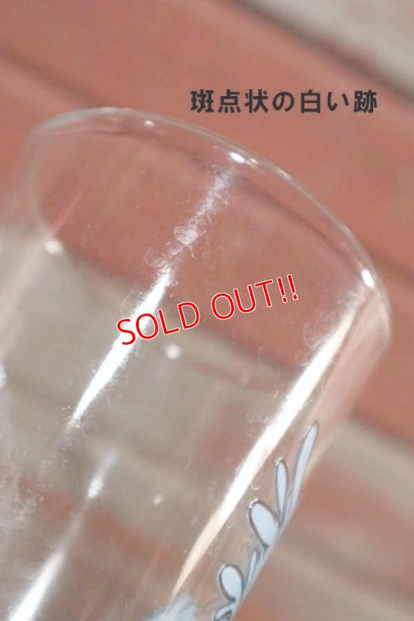 画像6: gs-201001-04 Road Runner / PEPSI 1973 Collector Series Glass