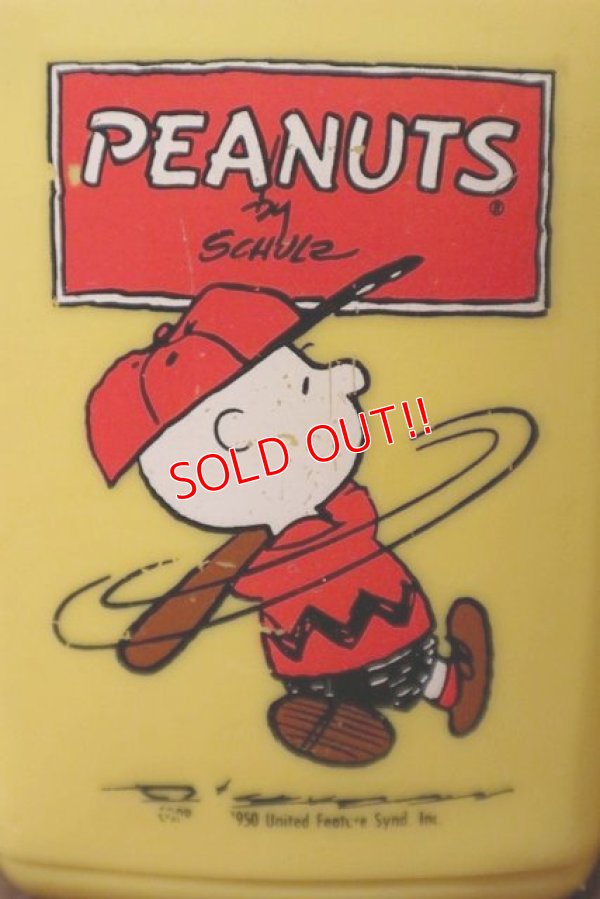 画像13: ct-201101-75 PEANUTS / TEHRMOS 1970's-1980's Luch Box