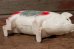 画像8: ct-201114-50 R.B.Rice Sausage Company / 1950's Piggy Bank