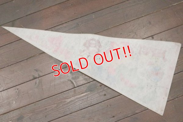 画像8: ct-201114-23 MUPPET BABIES /  1986 Pennant