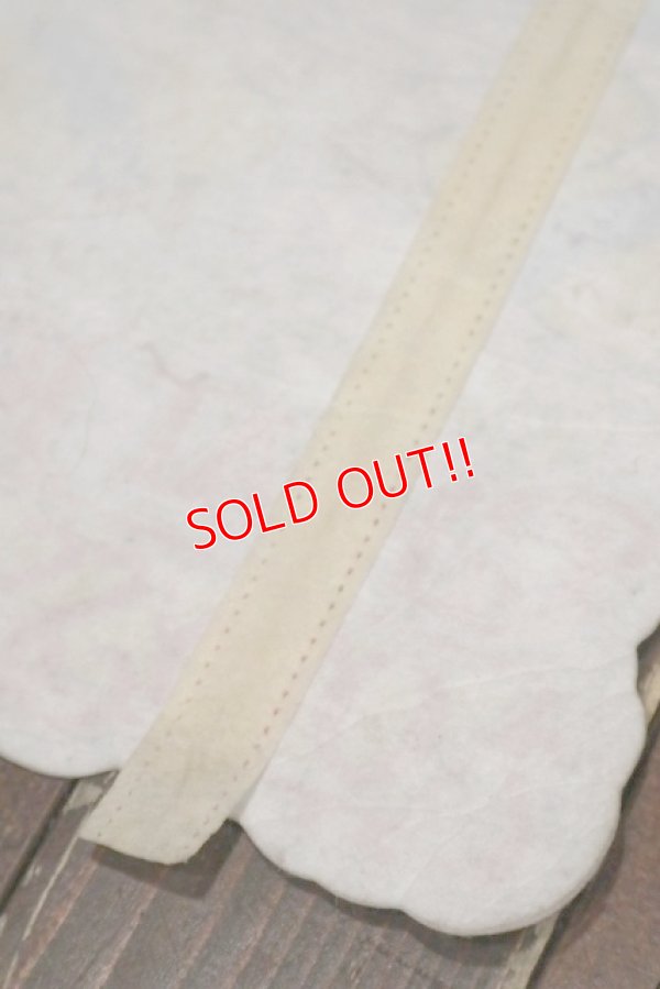 画像8: ct-201114-24 Donald Duck / 1970's Great Ice Odyssey Banner