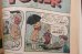 画像5: ct-201114-33 Dennis the Menace and Mr. Wilson / 1974 Comic (5)