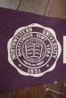 画像2: dp-201114-32 NORTHWESTERN UNIVERSITY / Vintage Pennant (2)