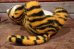 画像9: ct-201201-49 Kellogg's / Tony the Tiger 1970's Plush Doll