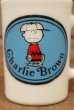 画像2: ct-210101-46 Charlie Brown / AVON 1960's-1970's Non-Tear Shampoo Mug (2)