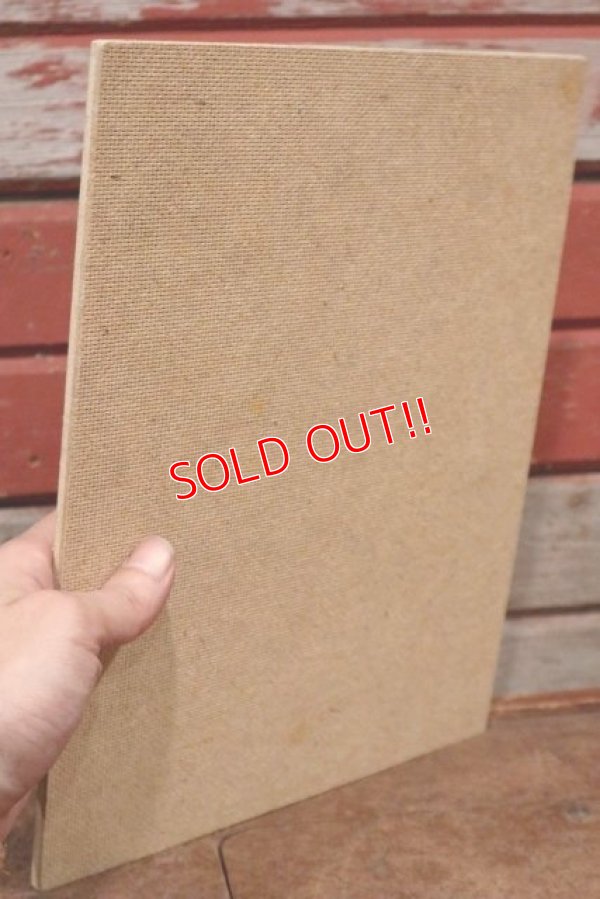 画像9: ct-210101-08 Baby Miss Piggy & Kermie Doll / Playskool 1980's Wood Frame Tray Puzzle