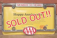 dp-210301-13 AAA / 2013 License Plate Frame