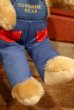 画像3: ct-210301-11 Knickerbocker 1980's Sunshine Bear Plush Doll